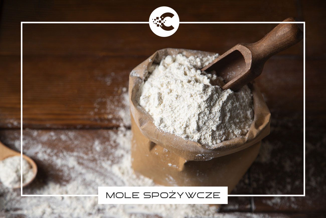 Mole spożywcze – Jak pozbyć się moli spożywczych?