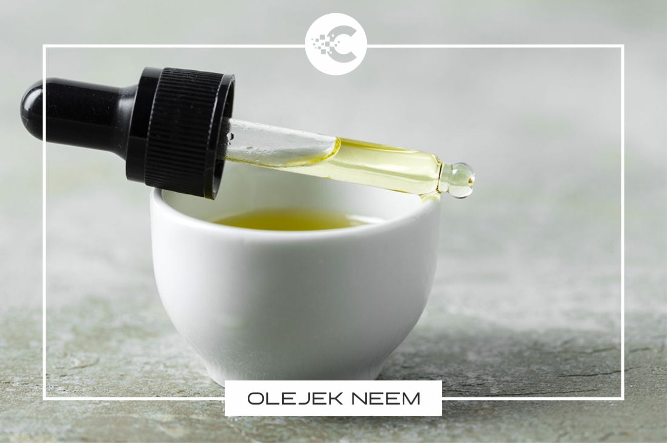 Olejek neem: Właściwości, zastosowanie i korzyści.
