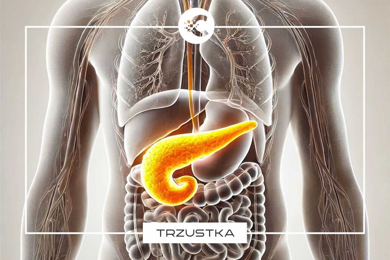 Jaki wpływ na trzustkę ma cukier?