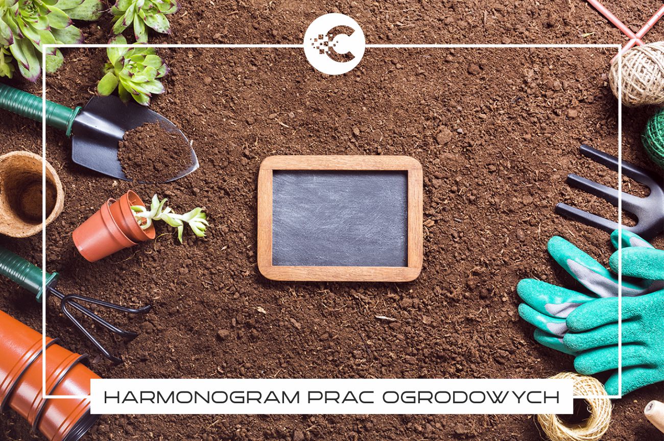 Jak tworzyć harmonogram prac ogrodowych?
