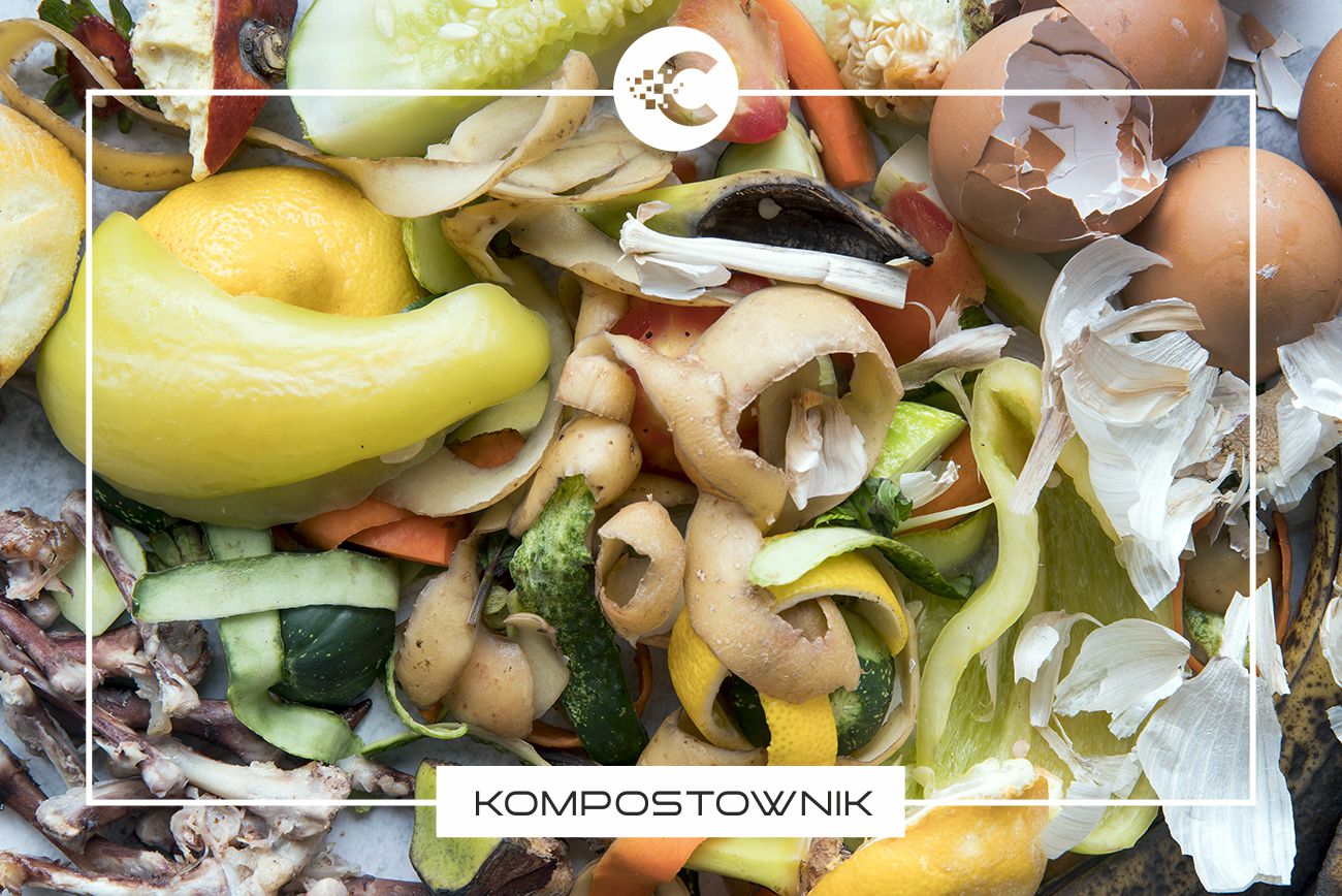 Kompostowanie i jego korzyści – jak naturalnie wzbogacić ogród?