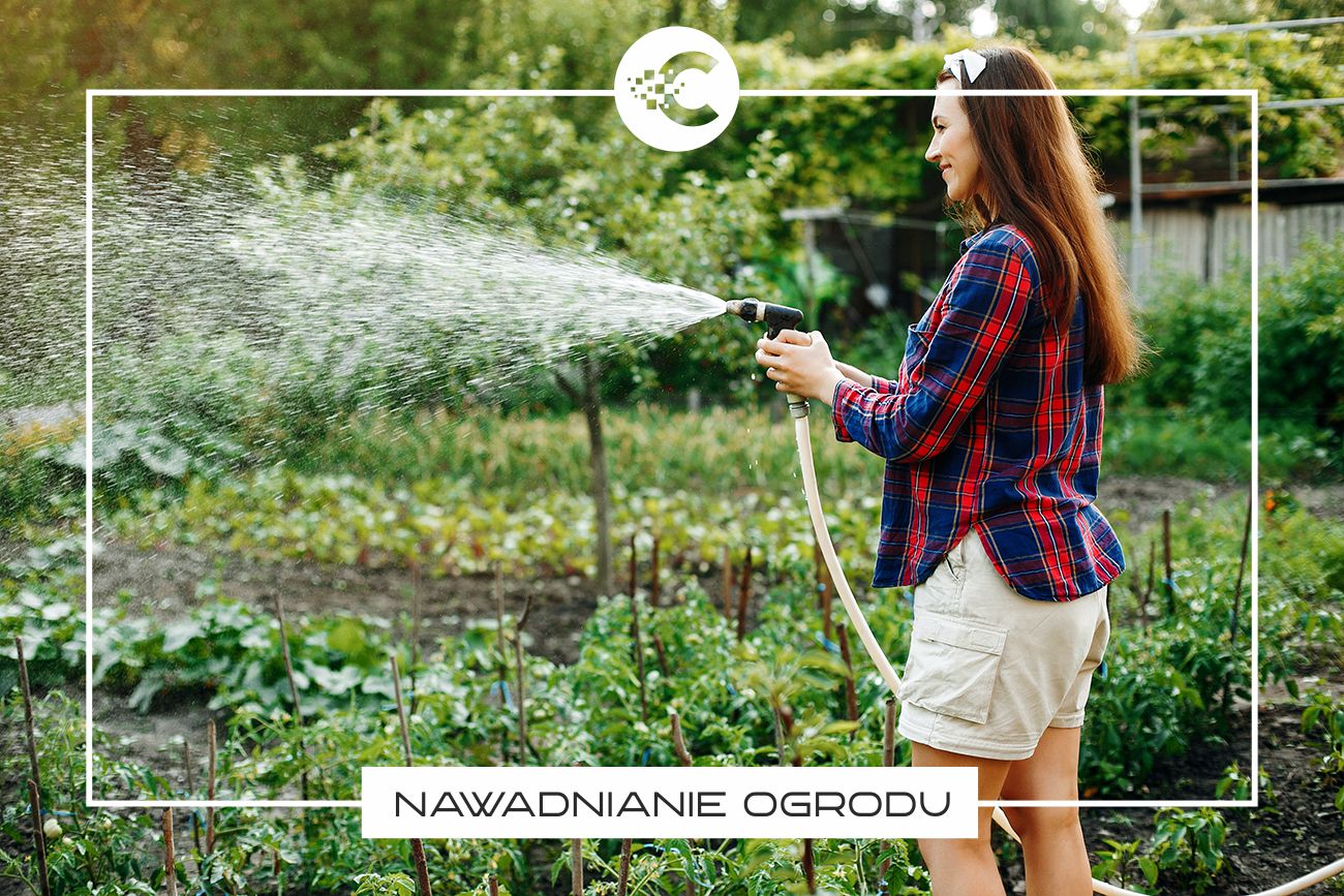 Jak oszczędzać wodę w ogrodzie?