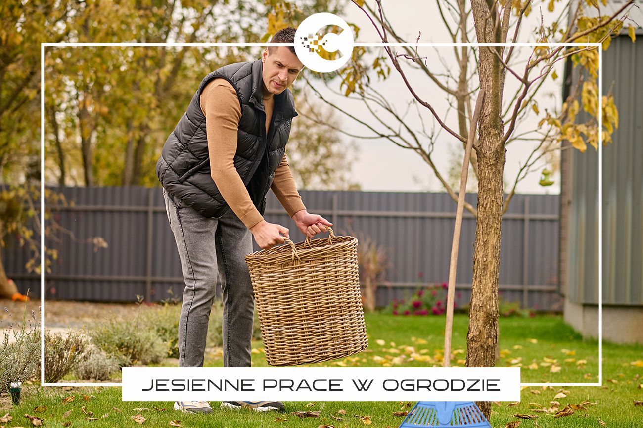 Prace w ogrodzie jesienią.