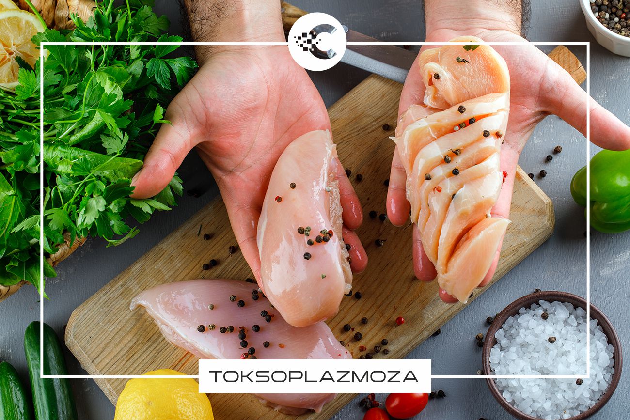 Toksoplazmoza: czym jest, przyczyny, objawy i leczenie.