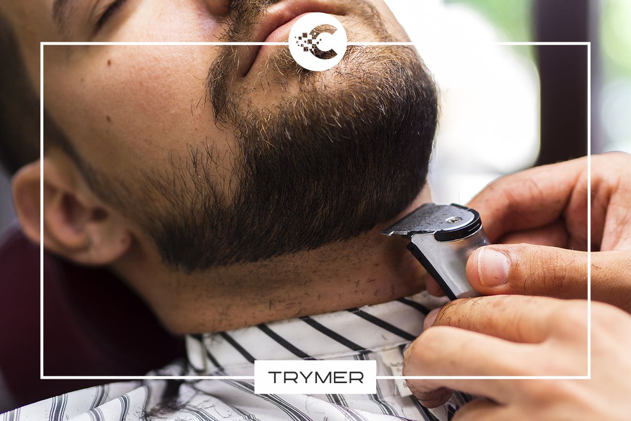 Trymer: do czego służy, jakie są najlepsze modele i ile kosztują?