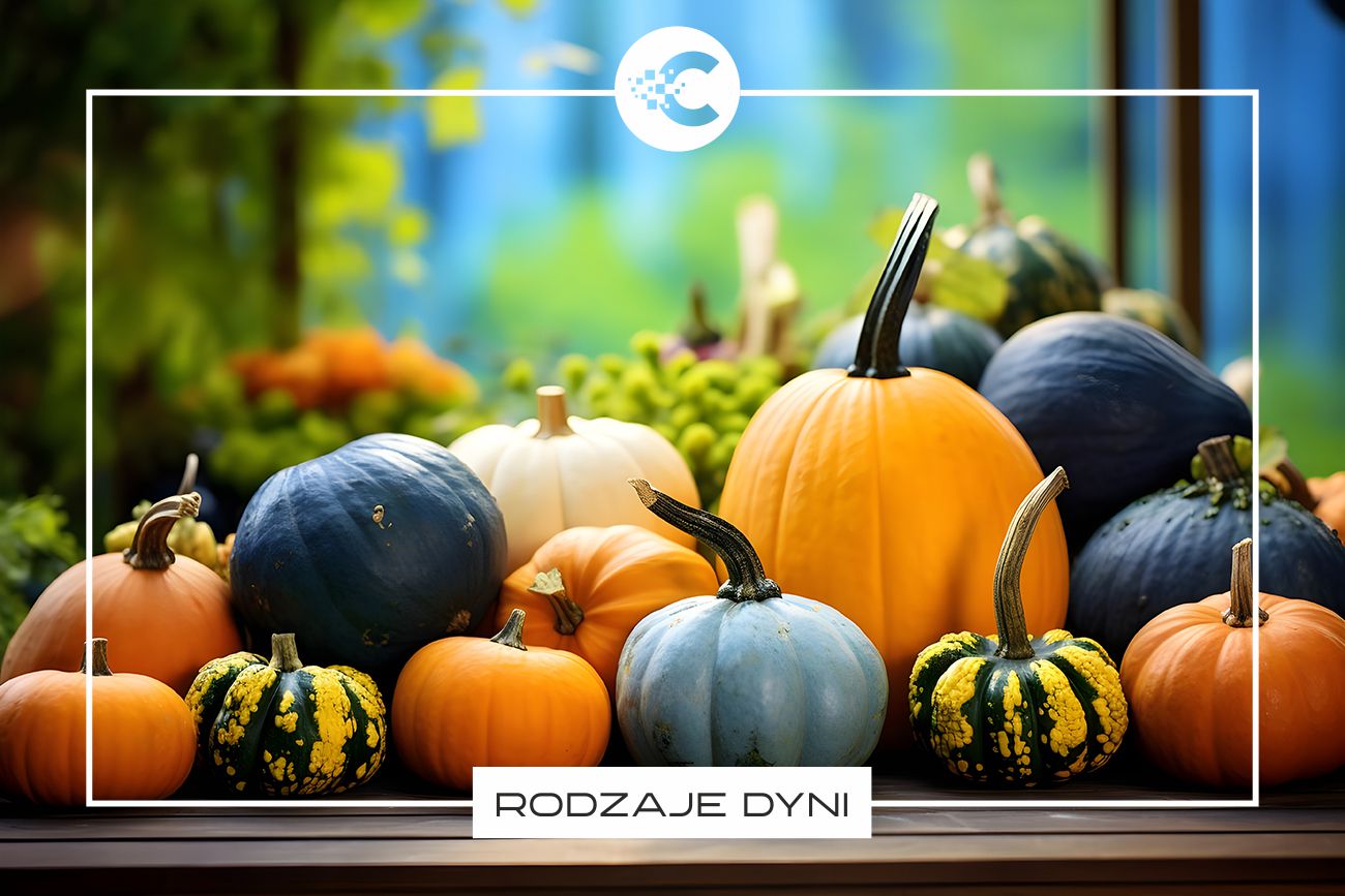 Rodzaje dyni i ich zastosowanie